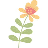 One yellow flower with leaves png