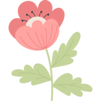 dekorativer roter Mohn png