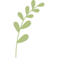 branch with leaves png