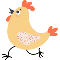 Domestic bird. Rooster png