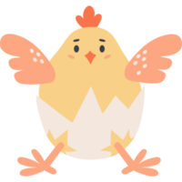 lindo pollito en huevo png