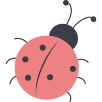 Cute red Ladybug. Insect png