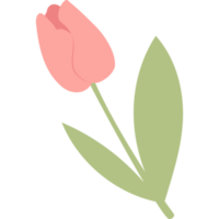 fleur. tulipe rouge png