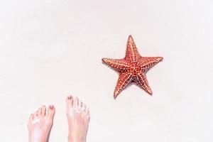 Tropical white sand with red starfish in clear water photo