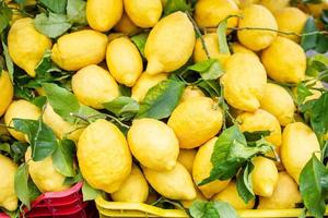 Wicker basket full of lemons on the italian street od Corniglia photo