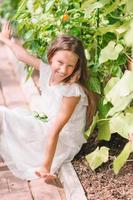 Cute little girl collects crop cucumbers and tomatos in greenhouse photo