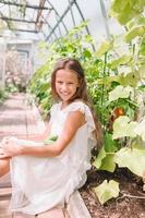 Cute little girl collects crop cucumbers and tomatos in greenhouse photo