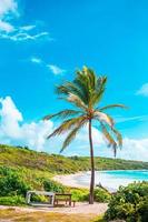 Idyllic tropical beach with white sand, turquoise ocean water and big palm trees photo