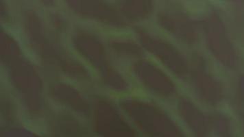 fondo abstracto militar verde marrón, gráfico de movimiento de plantilla de camuflaje. metraje 4k video