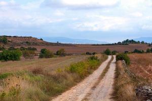 camino rural a través de los campos foto