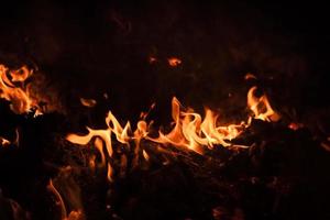 Flames of bonfire at night photo