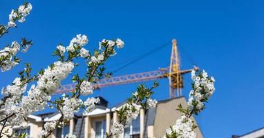 Construction crane with a spring flowering trees photo