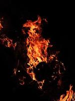 Fire flames on a black background photo