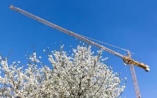 grúa de construcción con árboles florecientes de primavera foto