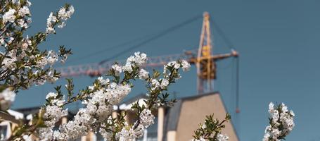 Construction crane with a spring flowering trees photo