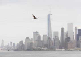 gaviota volando contra el fondo de manhattan foto