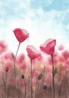 poppies field watercolor illustration hand drawn photo