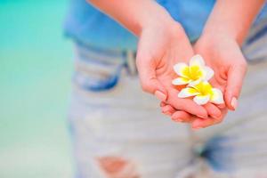 Beautiful frangipani flowers background turquoise sea photo