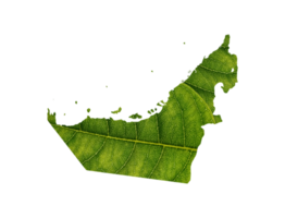 Dubai map made of green leaves on soil background ecology concept png