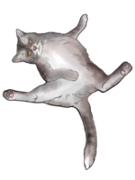 dessin animé doodle dessin aquarelle comique de chats méditant zen dans la pose de yoga et asana, namaste. pour le design, les cartes, les invitations de mariage, les illustrations png