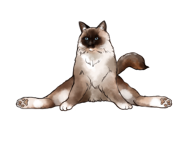 dibujo de acuarela cómica de doodle de dibujos animados de gatos meditadores zen en pose de yoga y asana, namaste. para diseño, tarjetas, invitaciones de boda, ilustraciones png