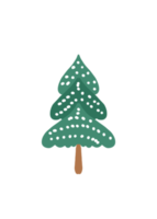 Watercolor Christmas tree cute png