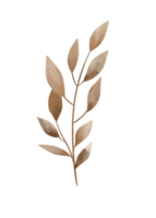 Leaf Line Art png