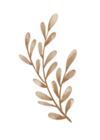 Leaf Line Art png