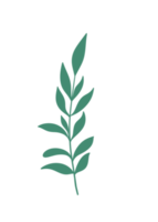 Leaf Line Art png