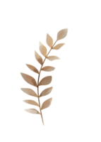 Leaf Line Art png