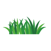 natural green grass bushes decorate environmental ecology cartoon scene png