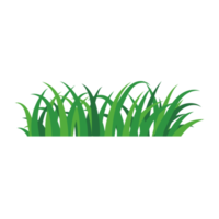 natural green grass bushes decorate environmental ecology cartoon scene png