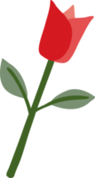 rose rouge style dessiné à la main pour la saint valentin png