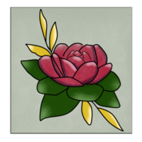 fleur de nénuphar png