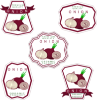 Sweet juicy tasty natural eco product onion png