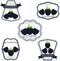 Sweet juicy tasty natural eco product blackberry png