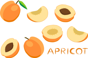 Sweet juicy tasty natural eco product apricot png