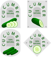 Sweet juicy tasty natural eco product cucumber png