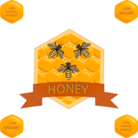 Various sweet tasty natural honey from honeycomb png