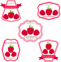 sucré juteux savoureux produit écologique naturel framboise png