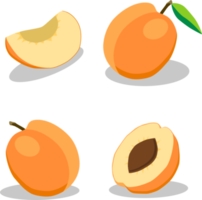 Sweet juicy tasty natural eco product apricot png