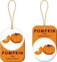 Sweet juicy tasty natural eco product pumpkin png