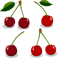 Sweet juicy tasty natural eco product cherry png