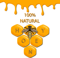 Various sweet tasty natural honey from honeycomb png