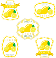 Sweet juicy tasty natural eco product lemon png