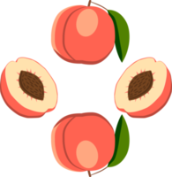 Sweet juicy tasty natural eco product peach png