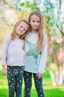 Adorable little girls in blooming apple tree garden on spring day photo