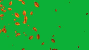 Amazing falling animation with shiny leaf in green screen video