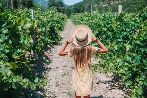 mujer en el viñedo en el día del sol foto