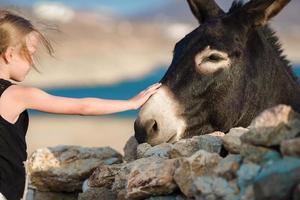 Little adorable girl with donkey on Mykonos photo